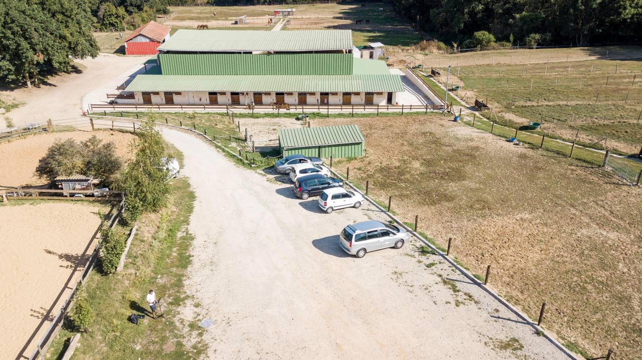 Recherche palefrenier/soigneur