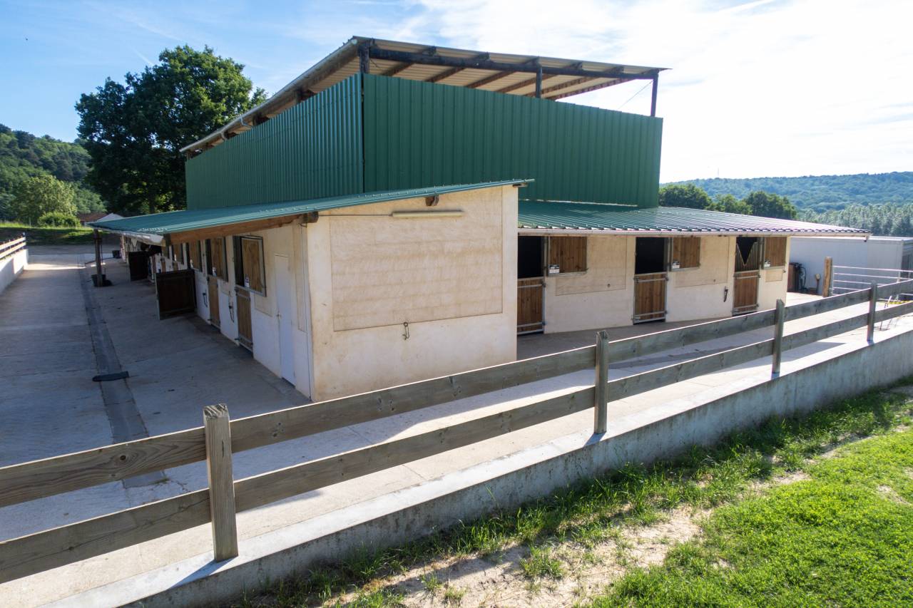 Recherche palefrenier/soigneur