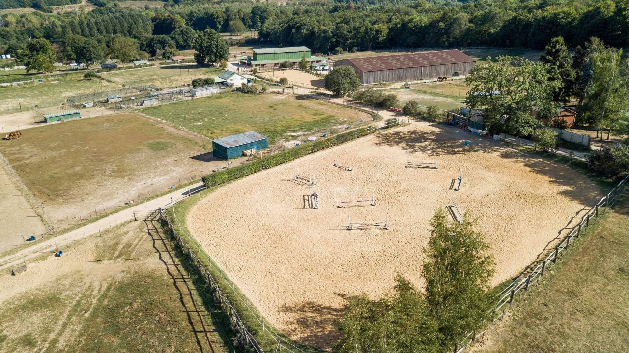 Recherche palefrenier/soigneur