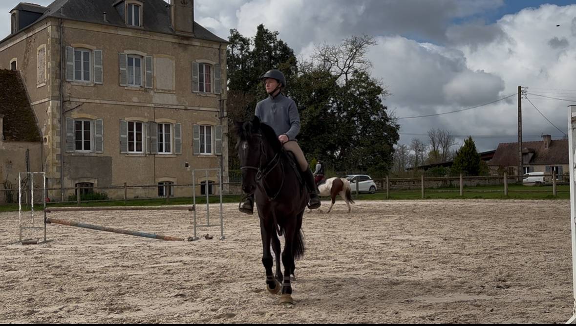 Jument 5ans CSO - loisir - ext&eacute;rieur 