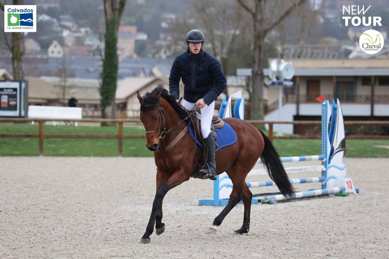 Magnifique m&acirc;le pur-sang 5 ans