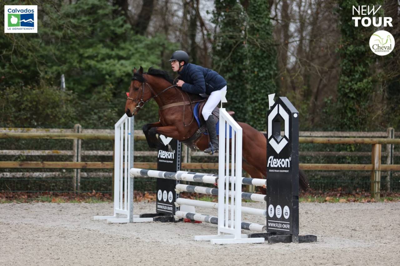 Magnifique m&acirc;le pur-sang 5 ans