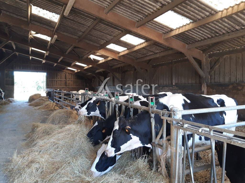 Propri&eacute;t&eacute; d'environ 47h40 avec sa stabulation