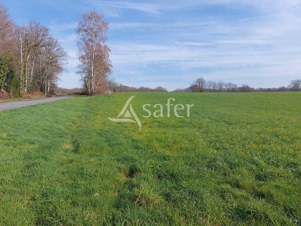 Propri&eacute;t&eacute; d'environ 47h40 avec sa stabulation