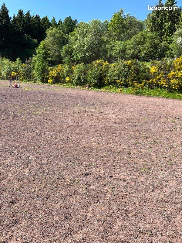 PENSION AU PRE POUR CHEVAUX