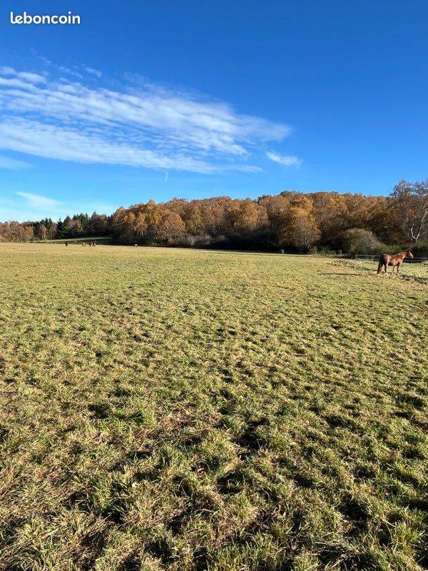 PENSION AU PRE POUR CHEVAUX