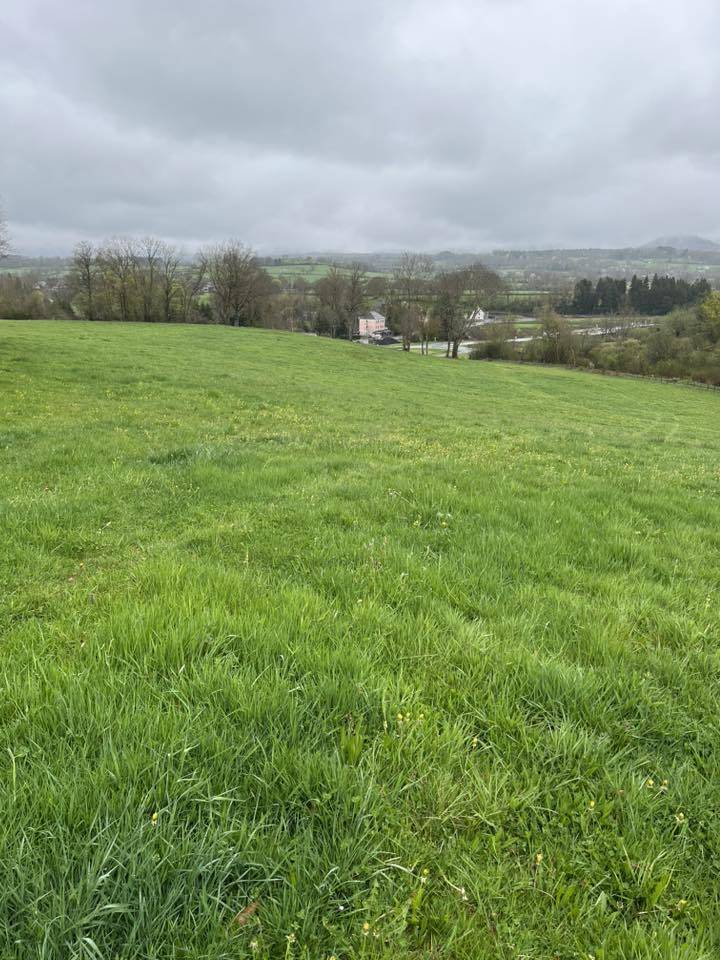 PENSION AU PRE POUR CHEVAUX