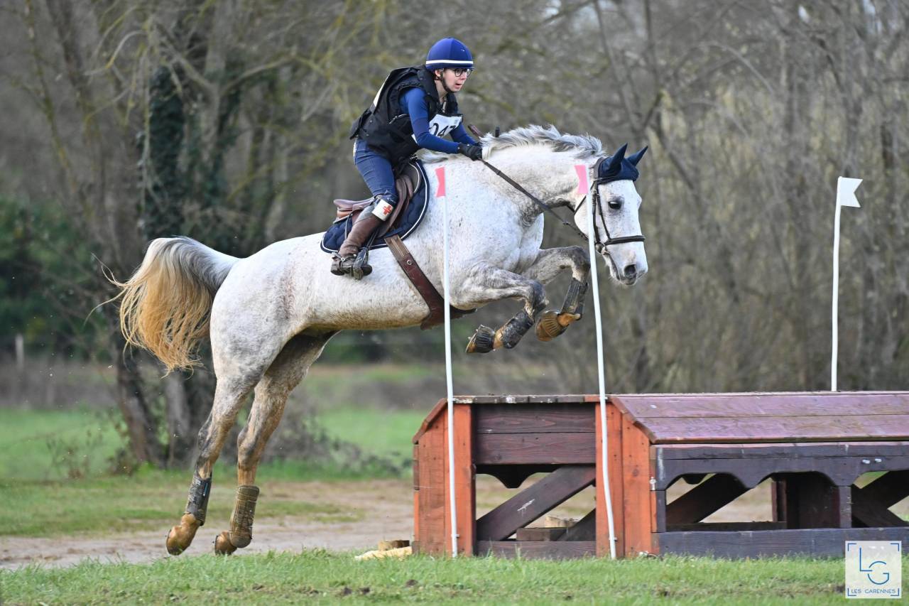 Gentil cheval AA pour loisirs et sport