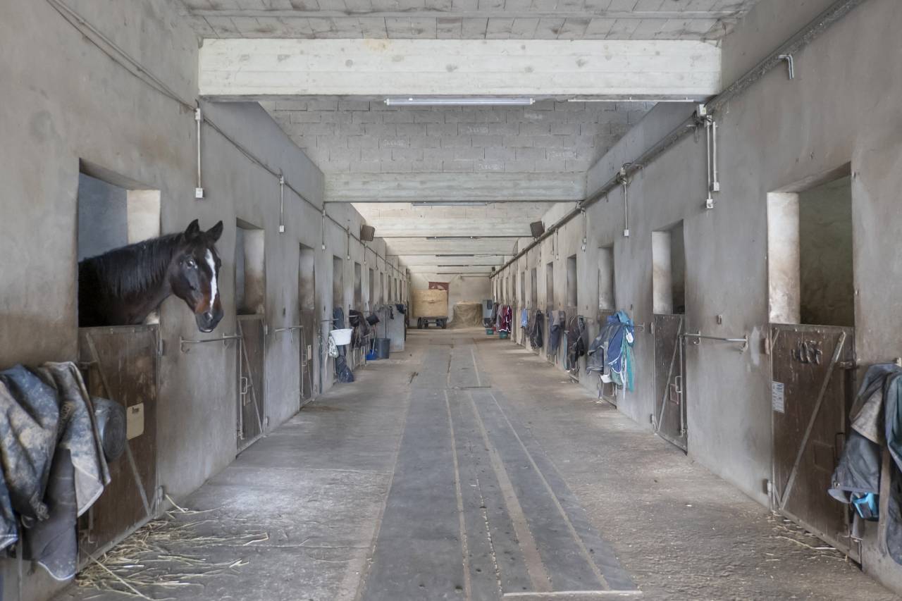 *RARE SUR LE MARCH&Eacute;*  Propri&eacute;t&eacute; &eacute;questre d&rsquo;exception