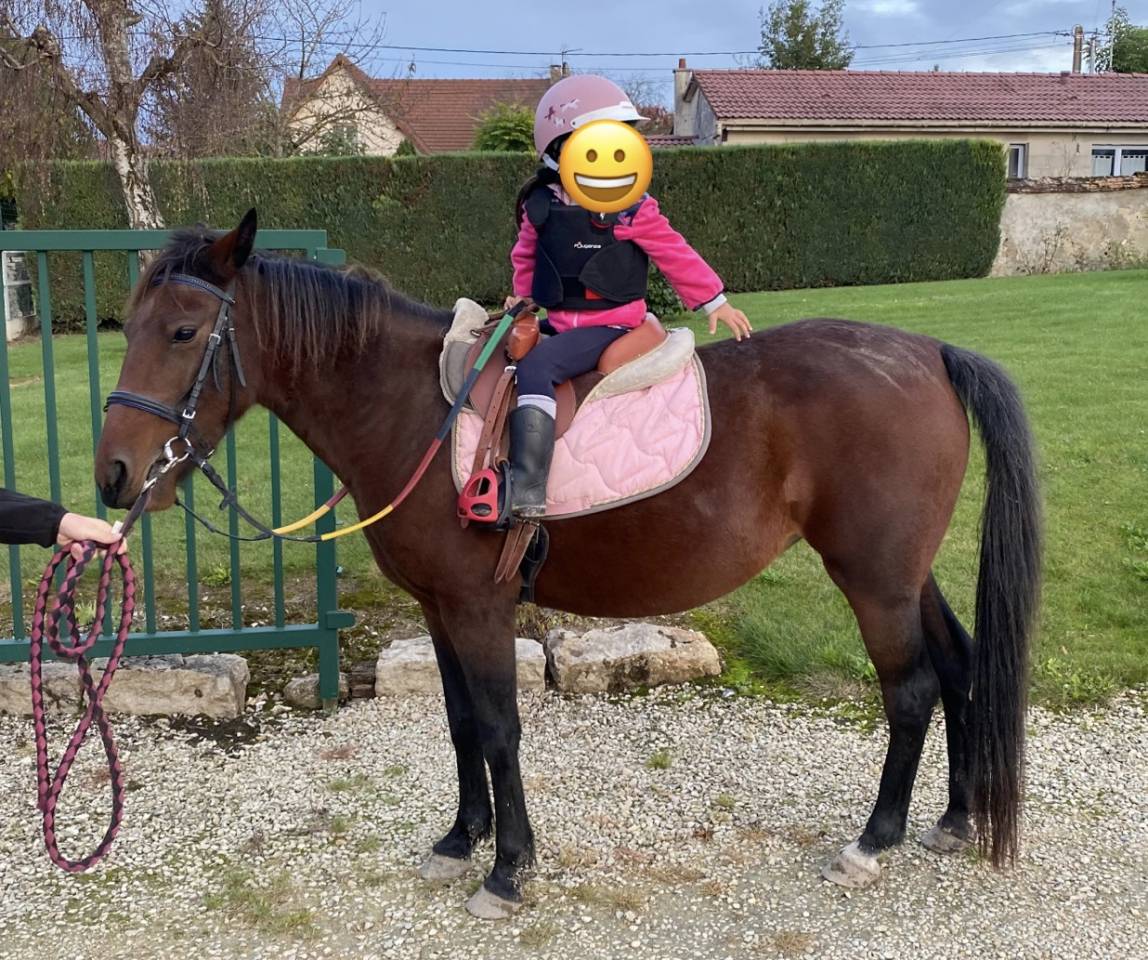 Ponette C 8 ans polyvalente pour loisir sport balade 