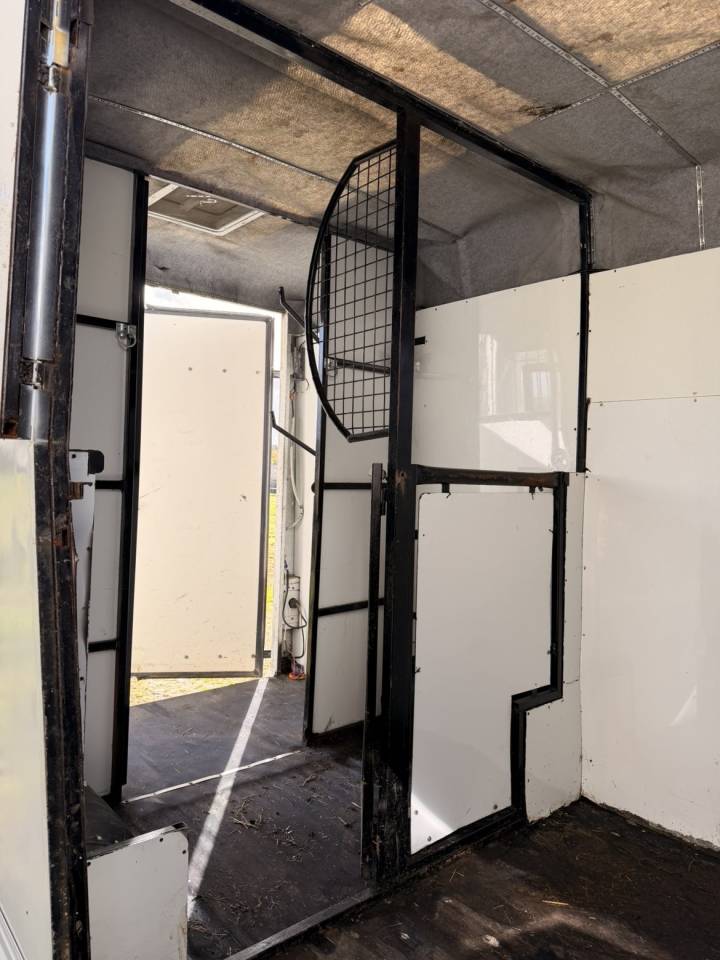 Renault master vl camion chevaux 