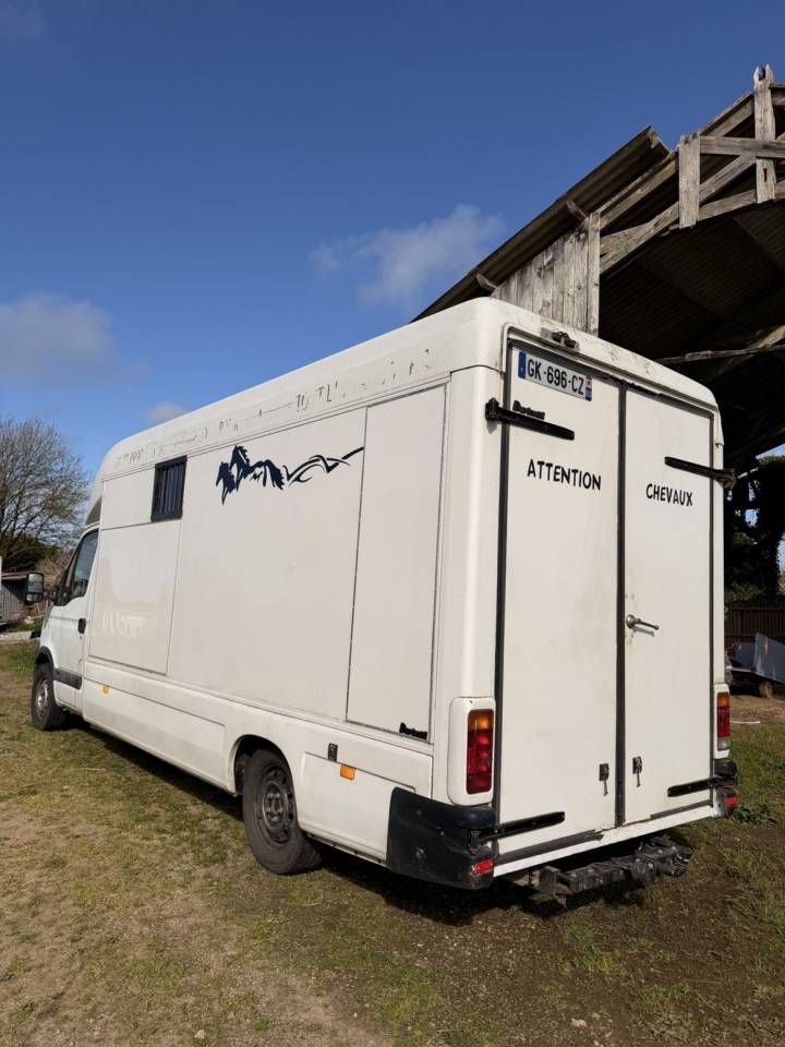 Renault master vl camion chevaux 