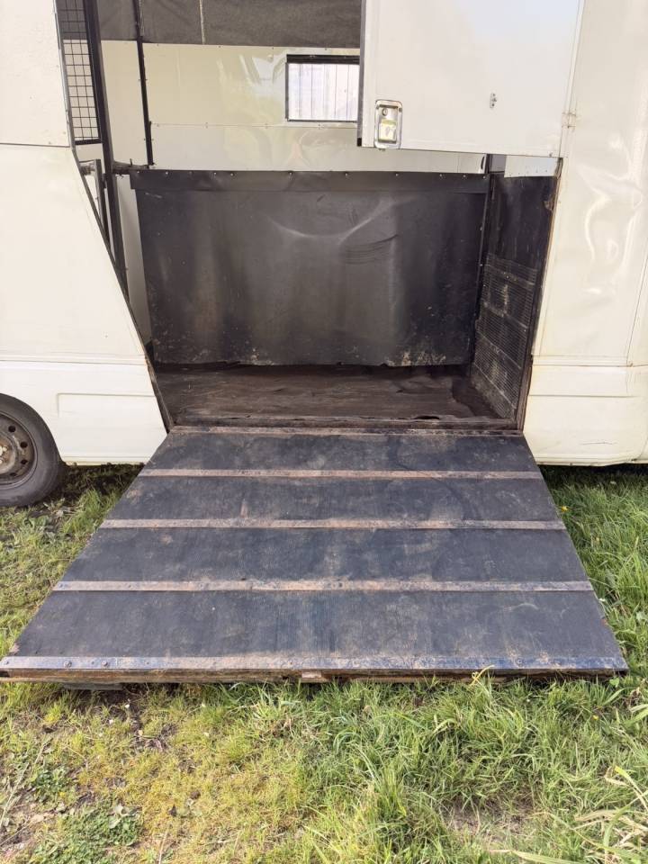 Renault master vl camion chevaux 