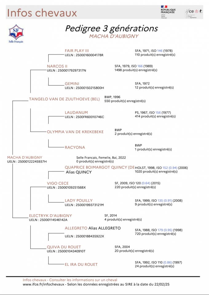 Jument SF 4 ans origines 10/10