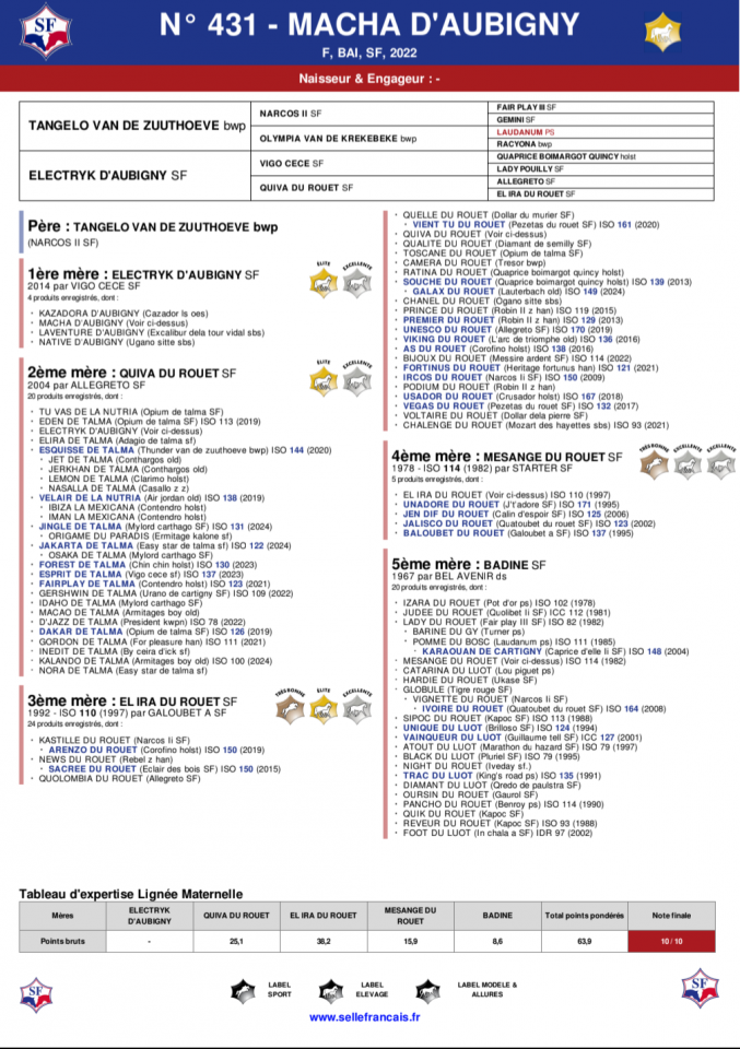Jument SF 4 ans origines 10/10