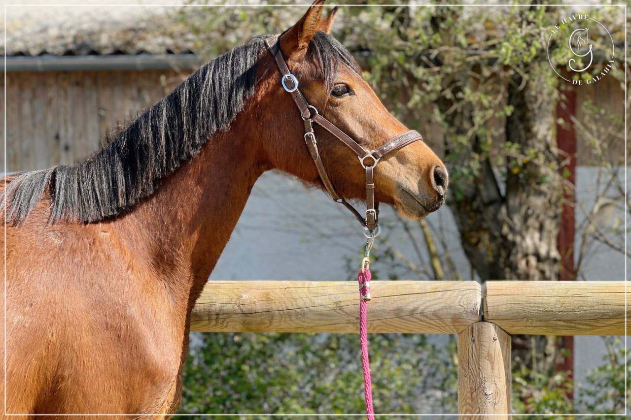 Jolie petite SF baie