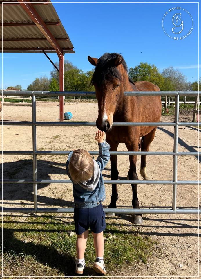 Jolie petite SF baie