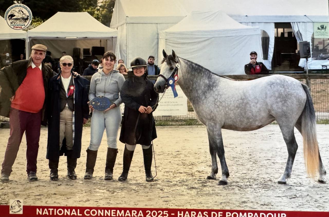 &Agrave; vendre Neifi Opop des Dauges