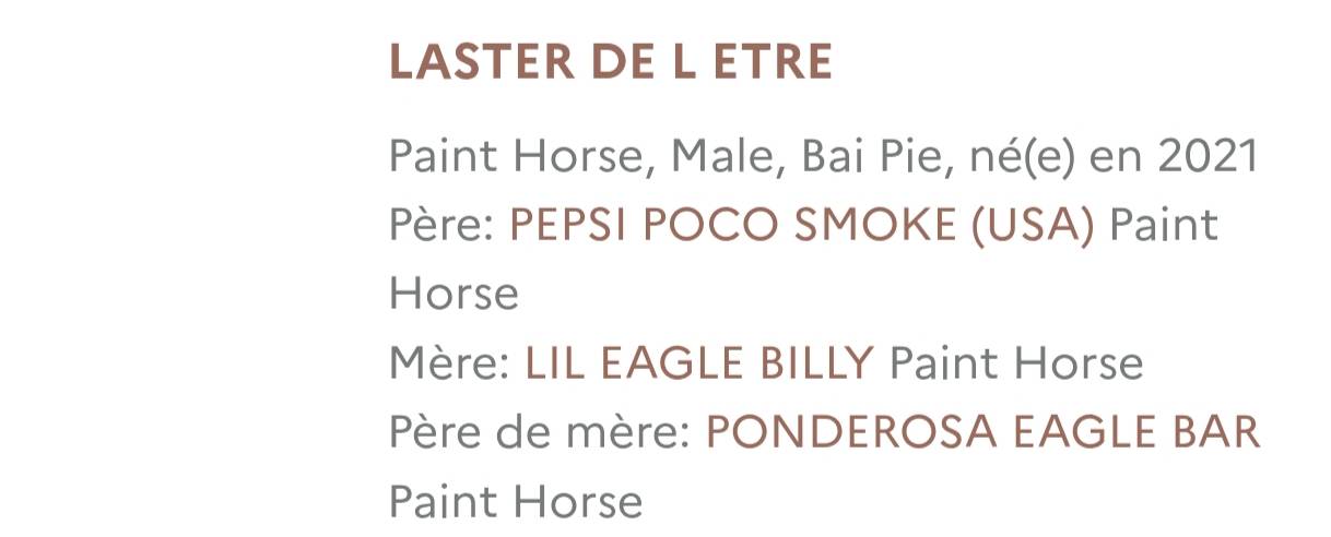 &Eacute;talon paint horse