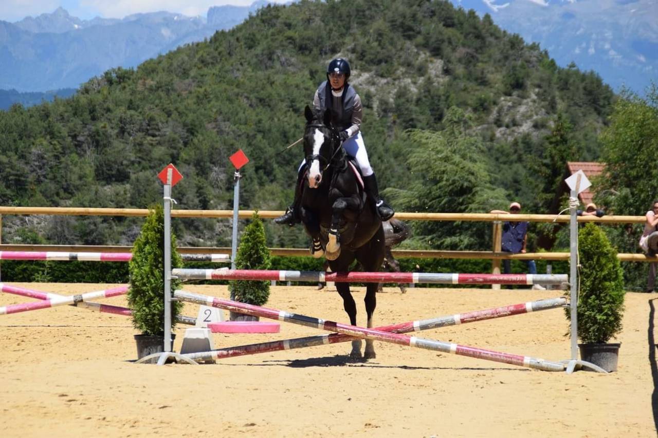 Hongre Z 16 ans Top Gun la Silla 