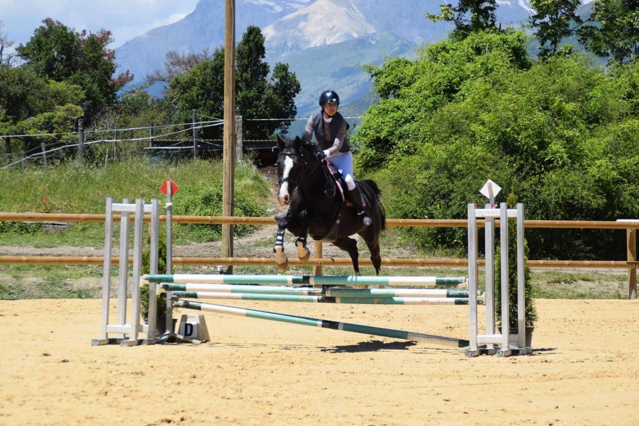 Hongre Z 16 ans Top Gun la Silla 