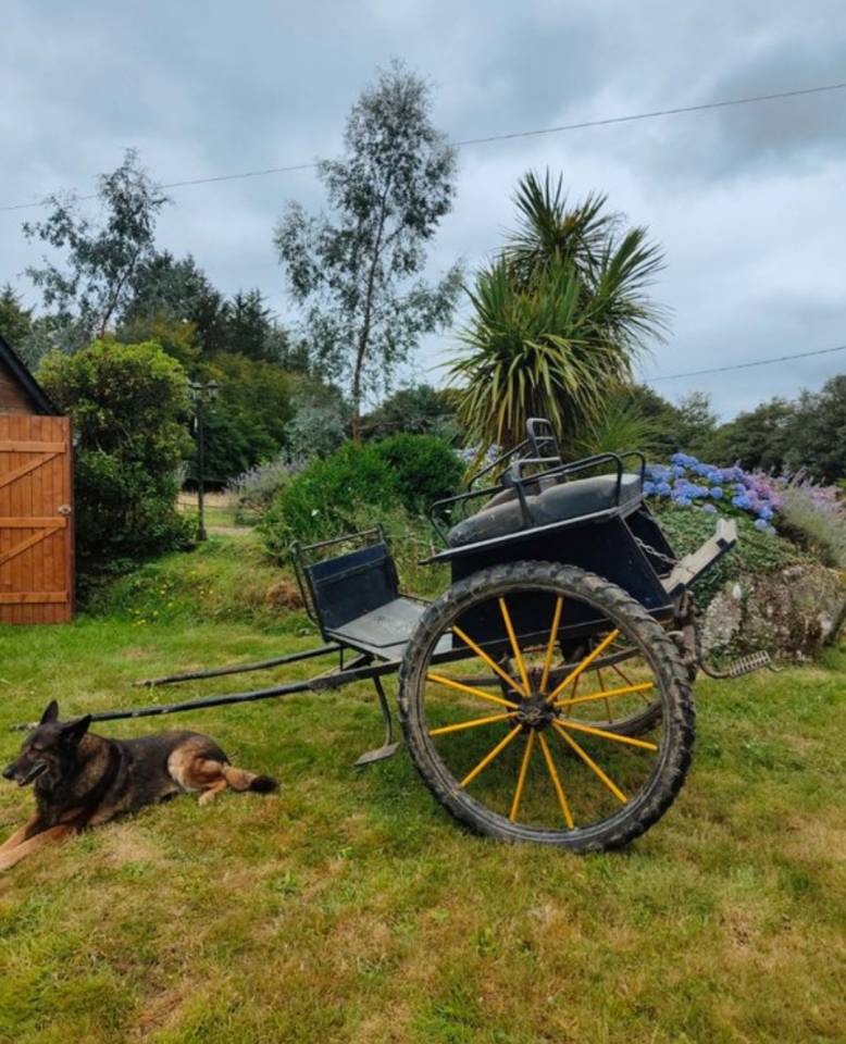 Hippomobile type dogcar 