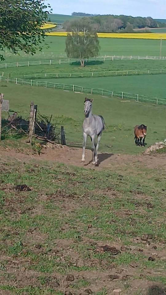 Pep's du Pre Seigneur