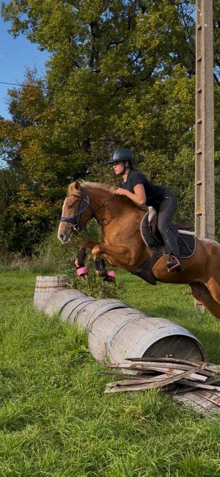 Ponette de sport facile