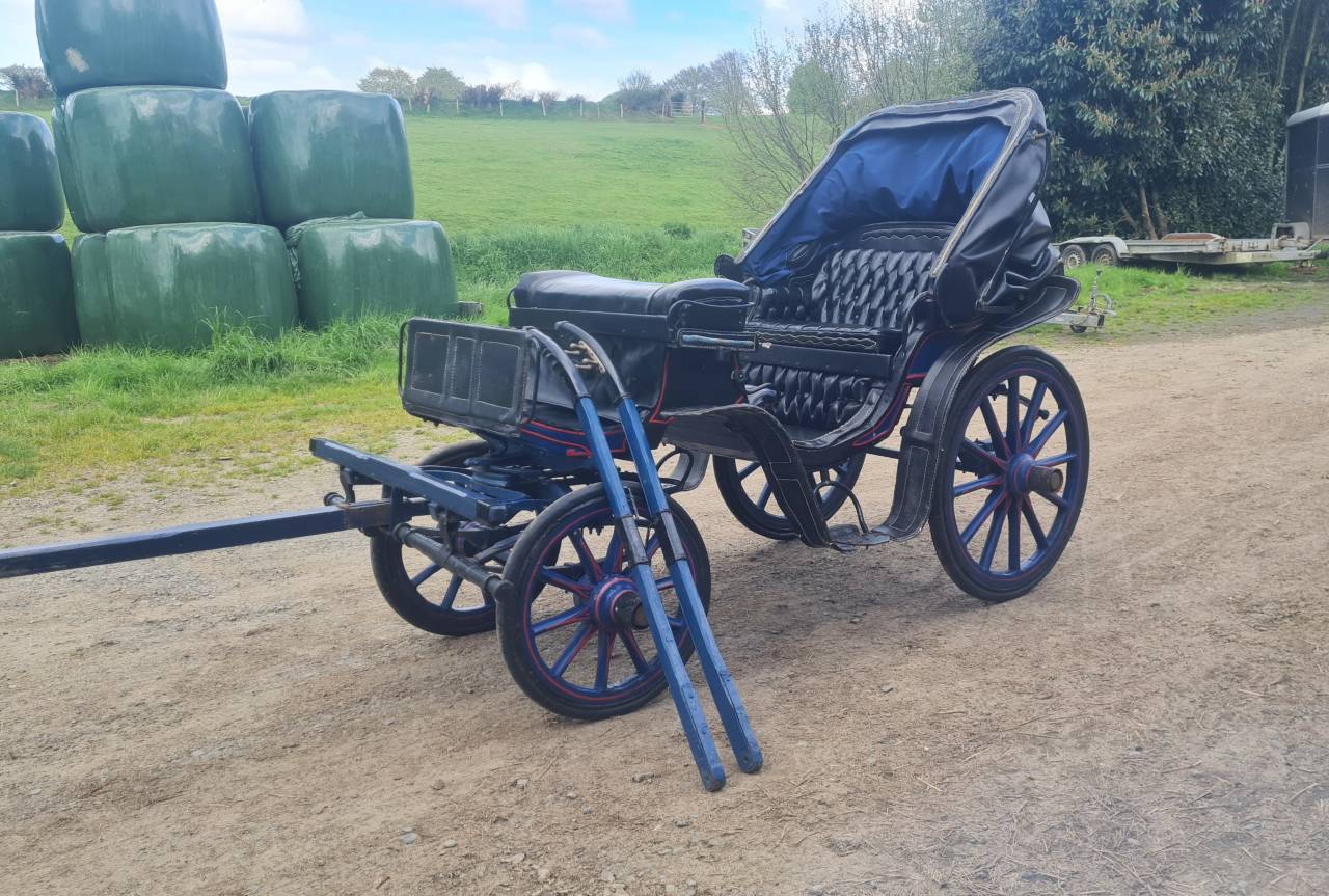 Cal&egrave;che Victoria petit mod&egrave;le - Poney / &Acirc;ne (50150 Brou