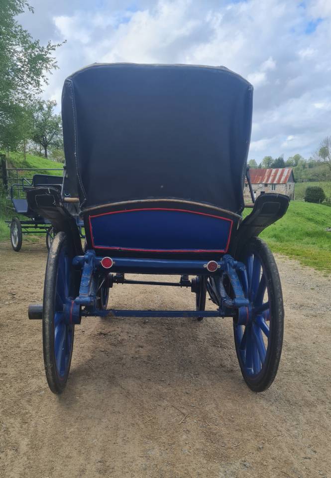 Cal&egrave;che Victoria petit mod&egrave;le - Poney / &Acirc;ne (50150 Brou