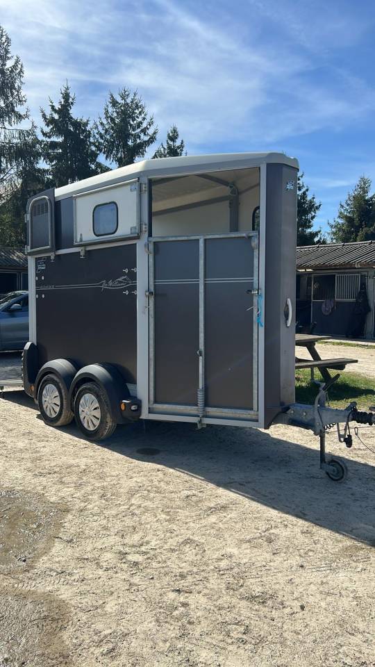 Vans IFOR WILLIAMS 2012