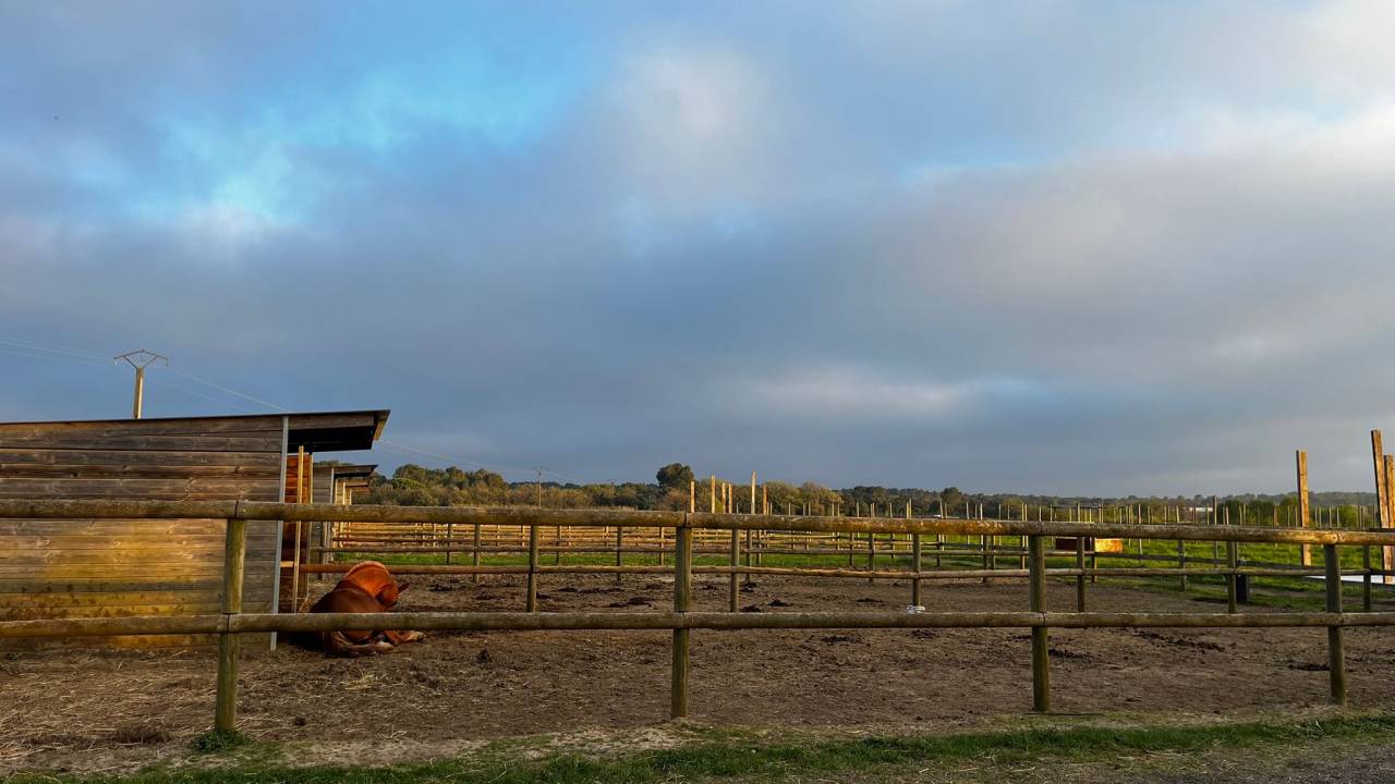 Pension aux portes de Montpellier