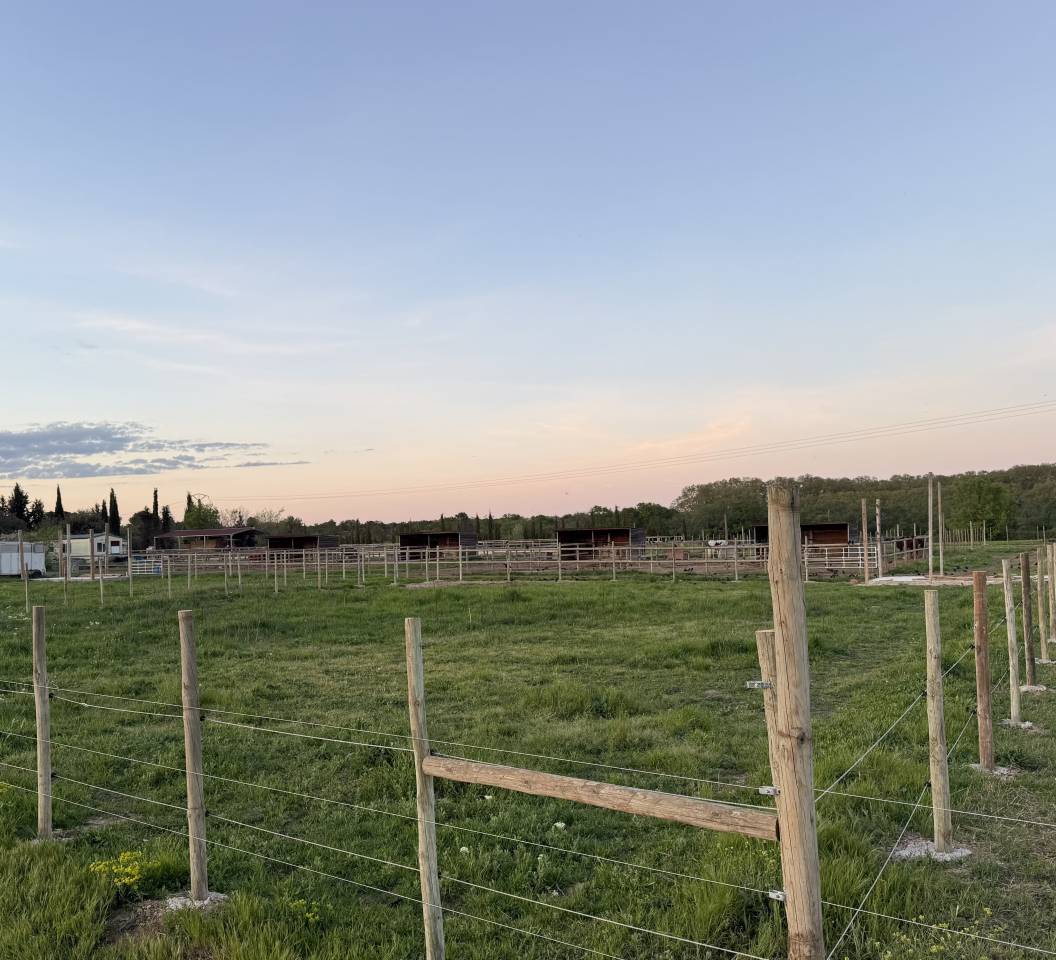 Pension aux portes de Montpellier