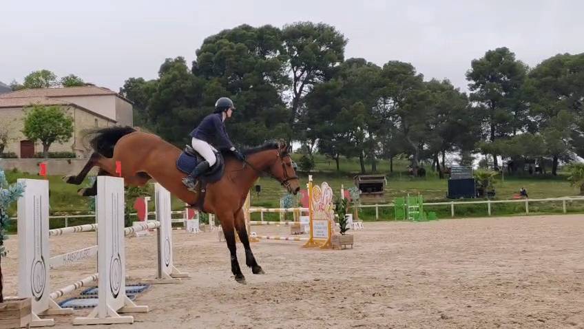 Hongre Z - 9 ans - CCE / CSO