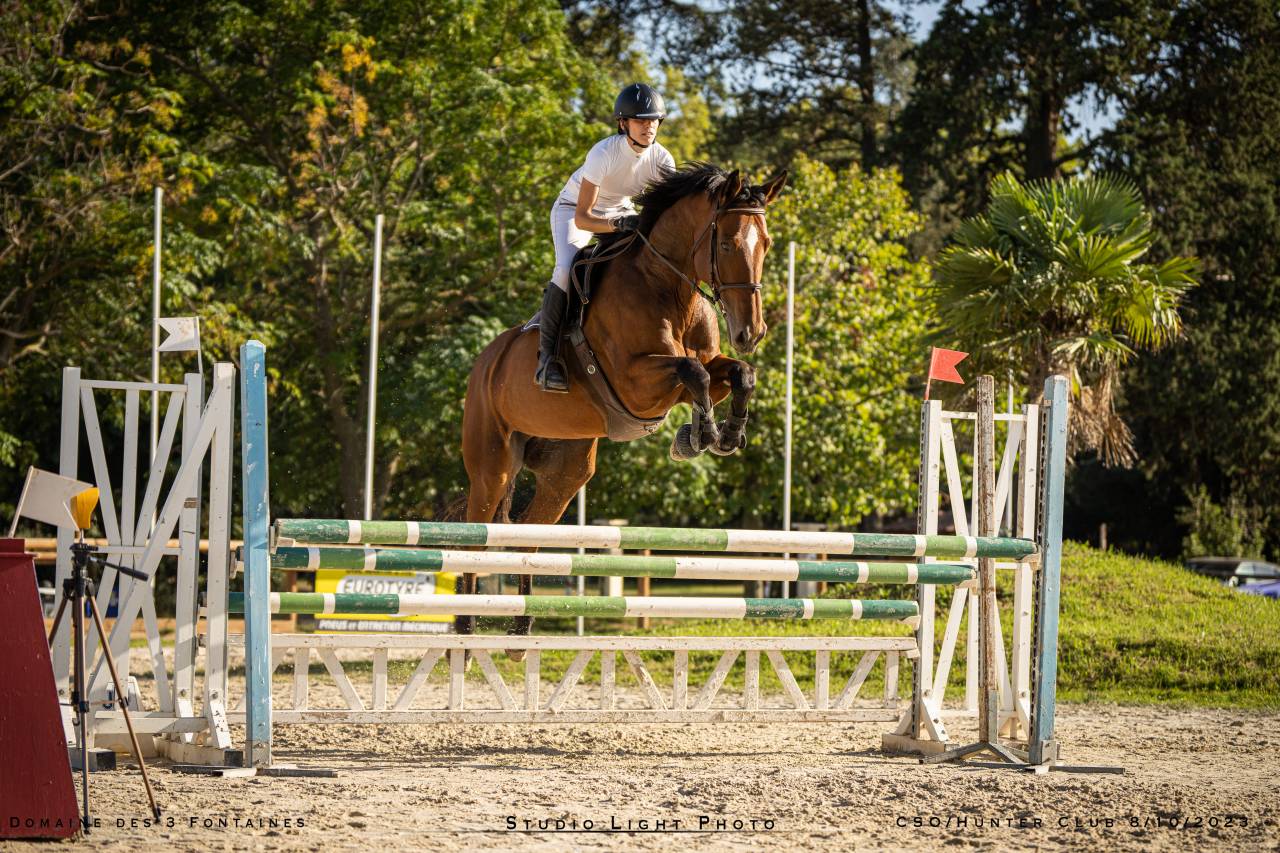 Hongre Z - 9 ans - CCE / CSO