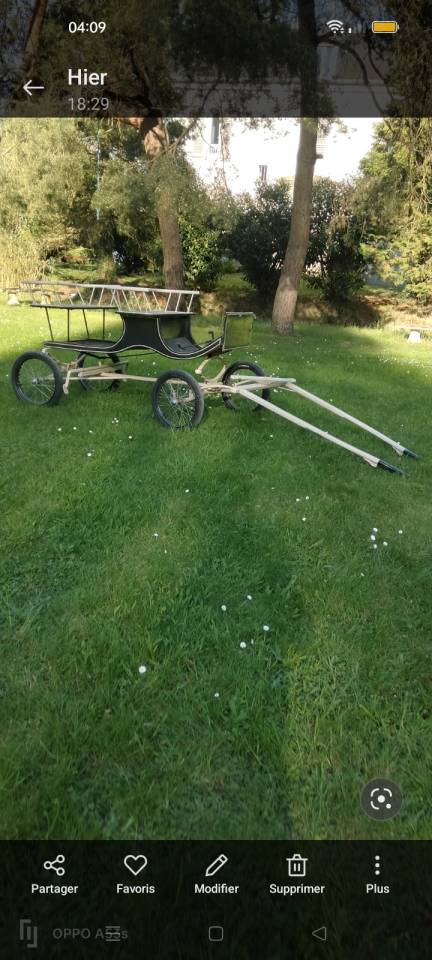 Cal&egrave;che 4 personnes