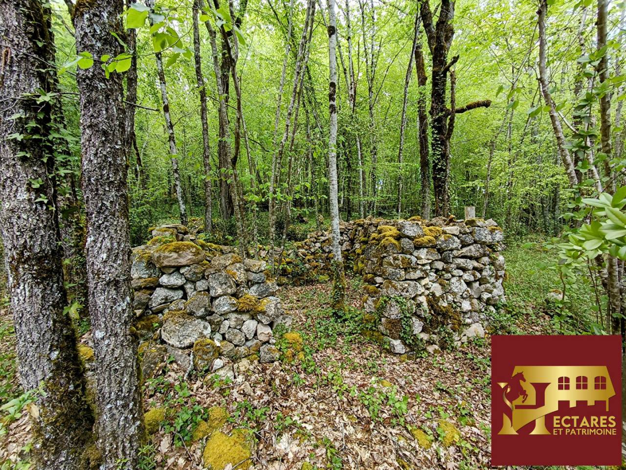 Propri&eacute;t&eacute; &eacute;questre - Maison avec 2 g&icirc;tes - 10 hectares - source