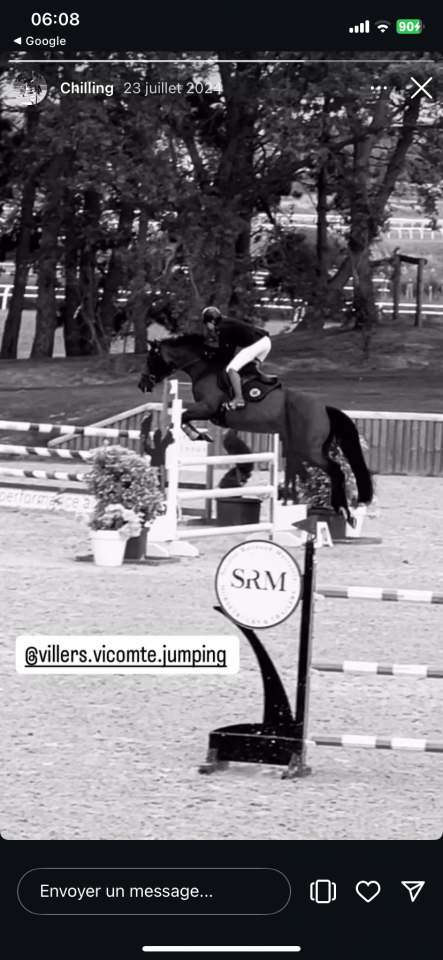 JUMENT Selle Fran&ccedil;ais 