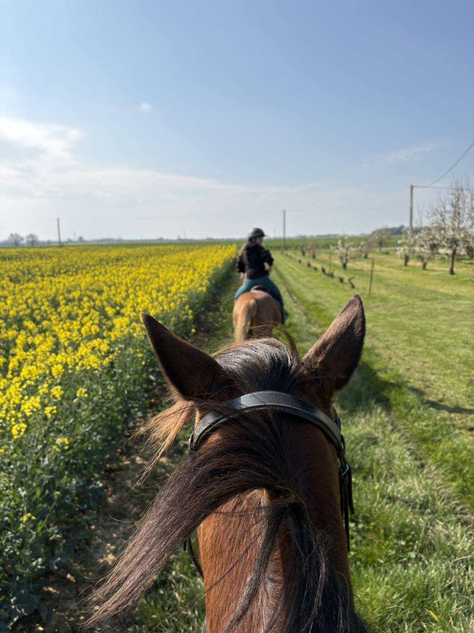 Recherche demi-pension pour Ma&icirc;tre d&rsquo;&eacute;cole 