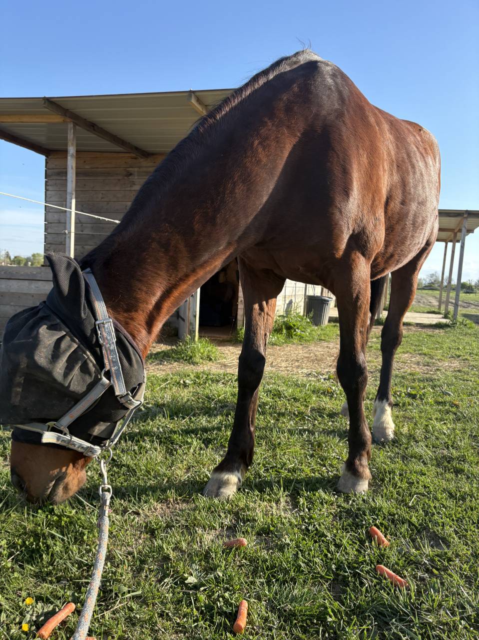 Recherche demi-pension pour Ma&icirc;tre d&rsquo;&eacute;cole 