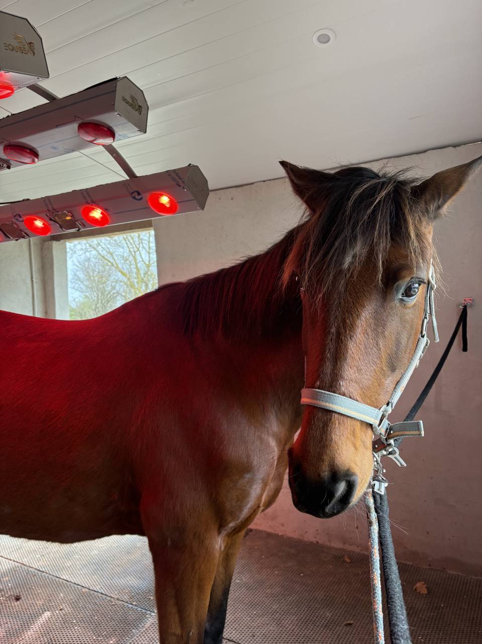 Recherche demi-pension pour Ma&icirc;tre d&rsquo;&eacute;cole 