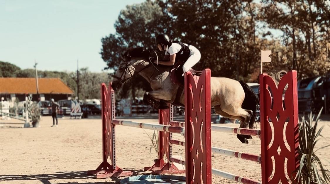 poney d&rsquo;as &agrave; vendre 