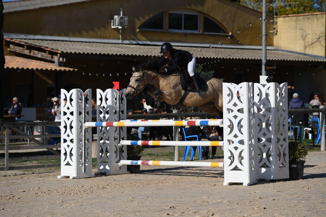 poney d&rsquo;as &agrave; vendre 