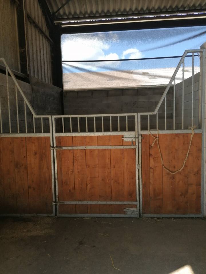 Pension chevaux - Ecurie les pr&eacute;s neufs - 70400 