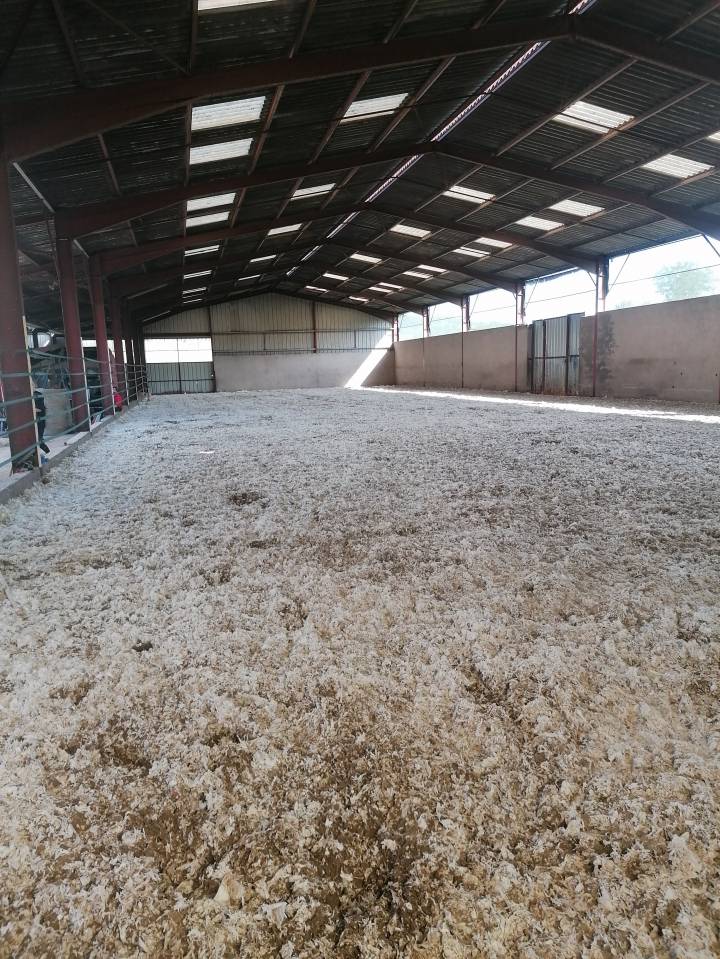 Pension chevaux - Ecurie les pr&eacute;s neufs - 70400 