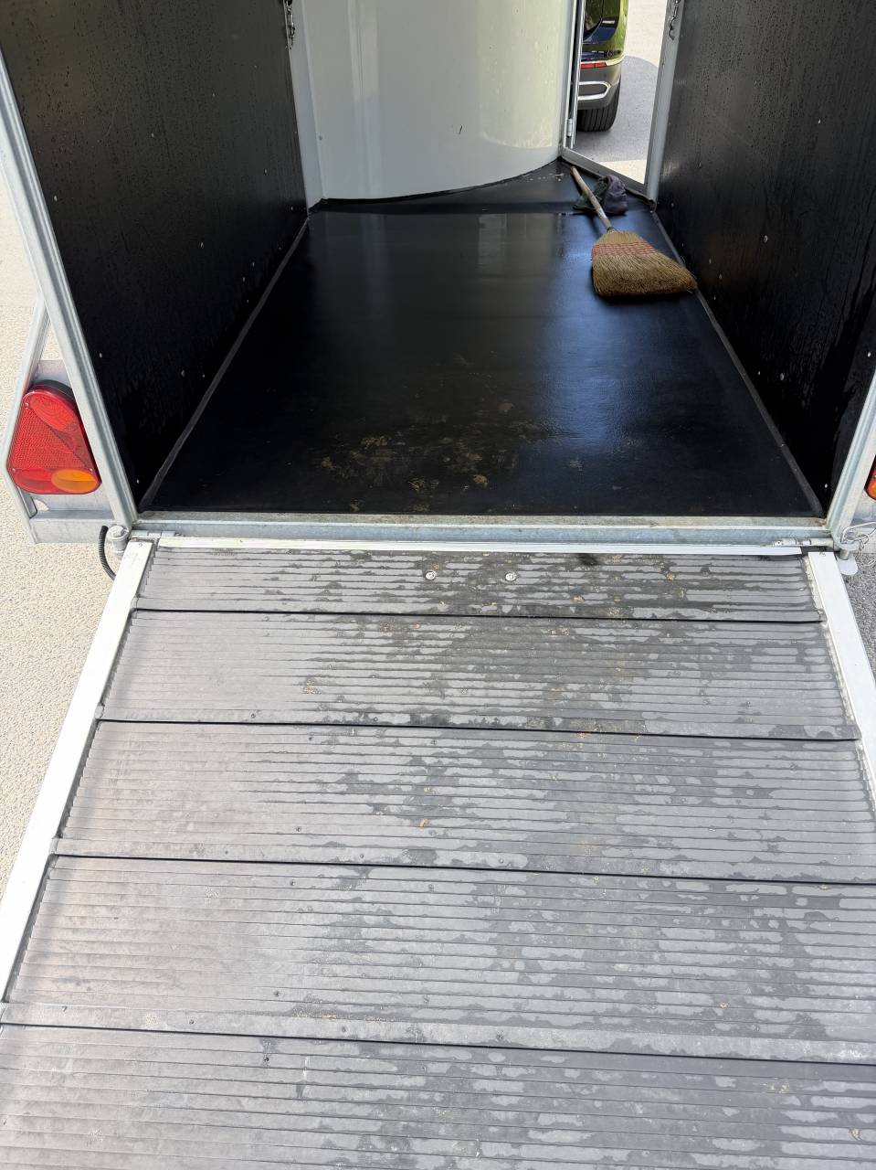 Vans cheval libert&eacute; 