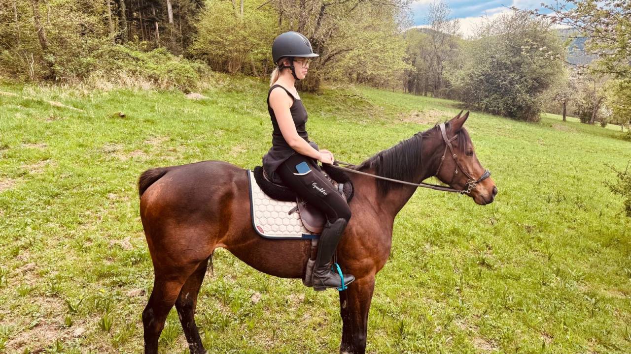 Jument 5 ans Pur-sang