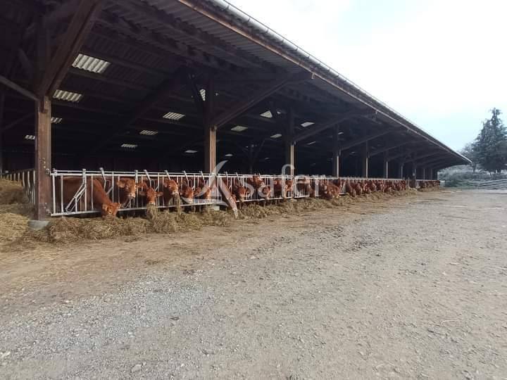Propri&eacute;t&eacute; agricole sur environ 54 ha bien group&eacute;s