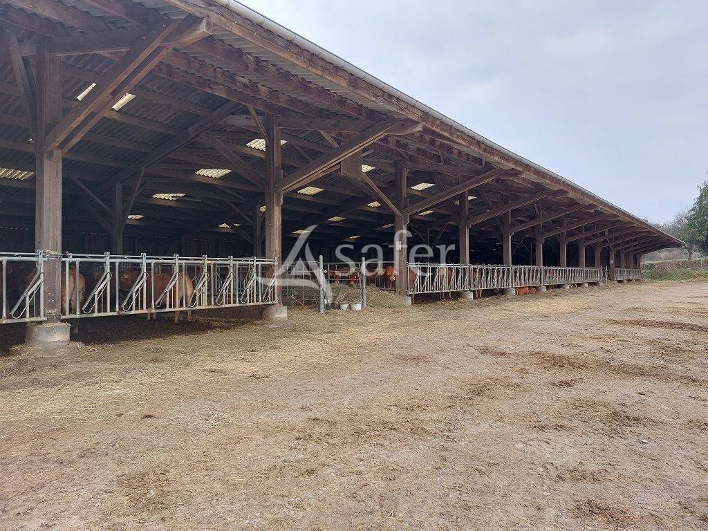 Propri&eacute;t&eacute; agricole sur environ 54 ha bien group&eacute;s