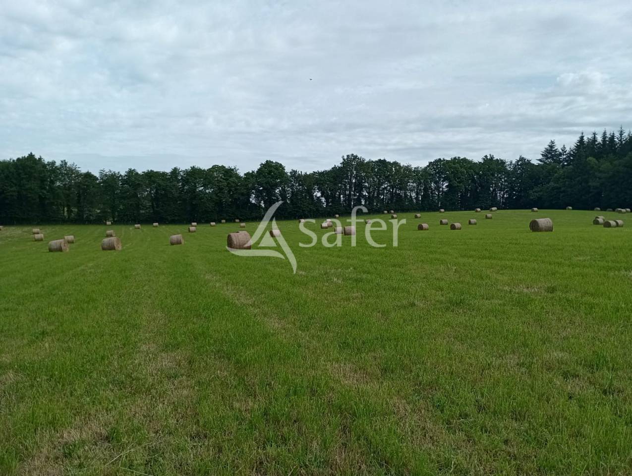 Propri&eacute;t&eacute; agricole sur environ 54 ha bien group&eacute;s